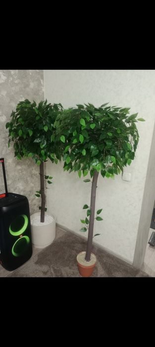 Искусственные (декоративные) деревья