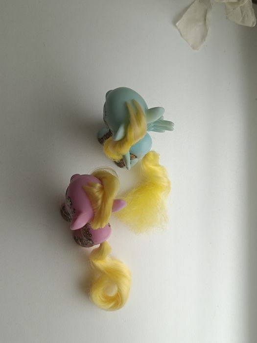 срочная продажа поней