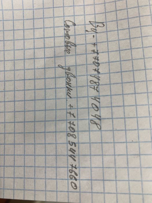отдам котят в хорошие руки