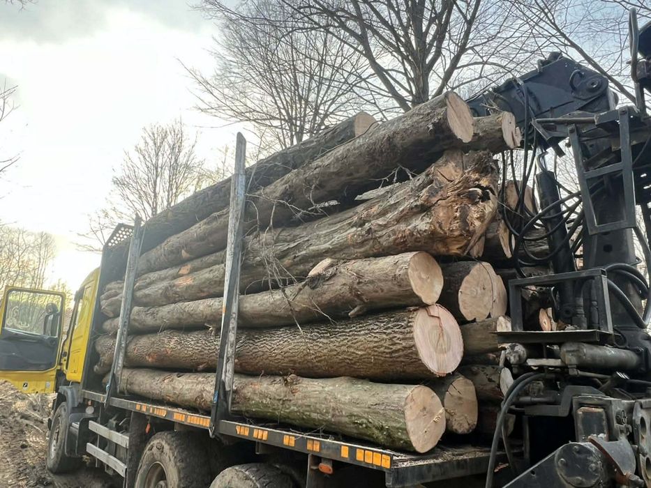 Vand lemne de foc taiate sau  la camion