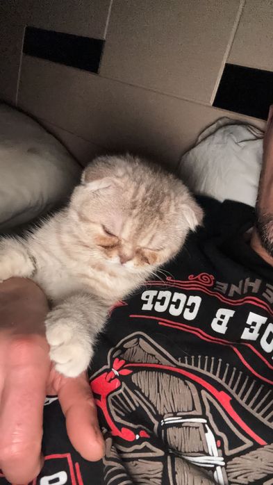 Он очень хороший добрый