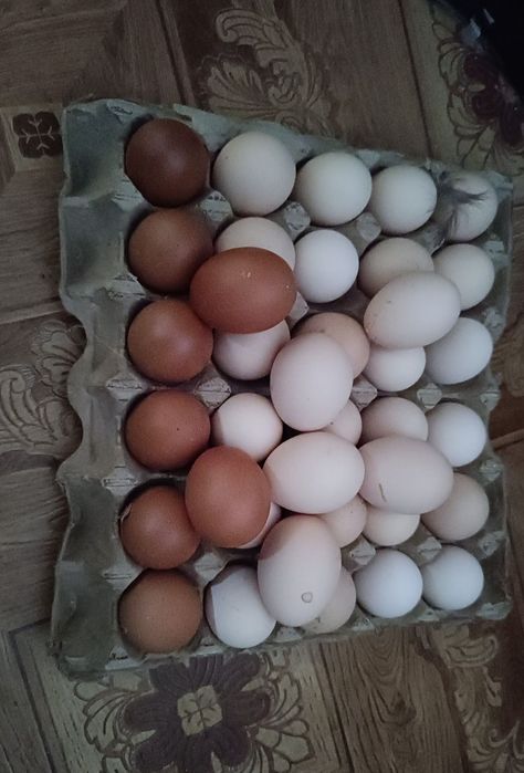 Куриные яйца.         .