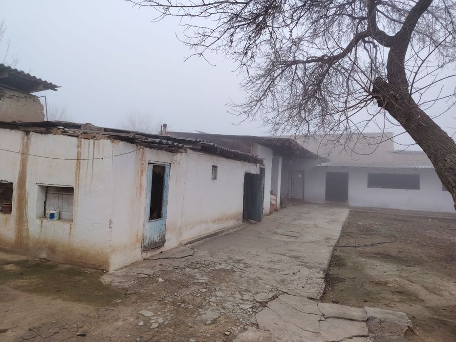 Hovli  sotiladi srochna