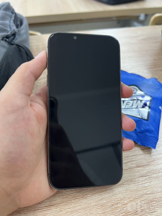 13 Pro