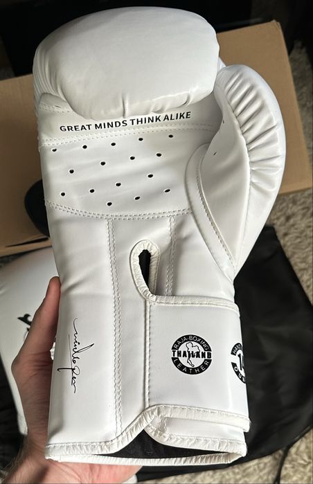 Боксерские перчатки RAJA