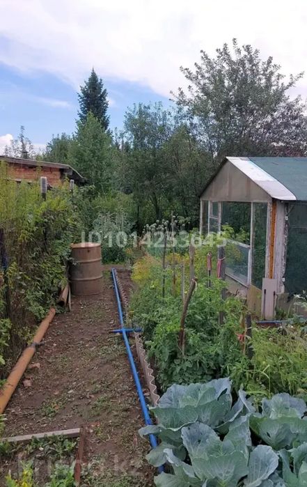 Дача 7 соток продам срочно!