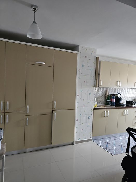 Apartament malul Mureșului Micălaca