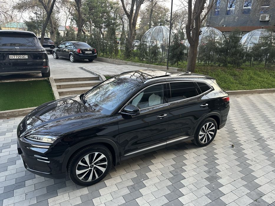 Byd Chempiyon Honor 2024 Yil