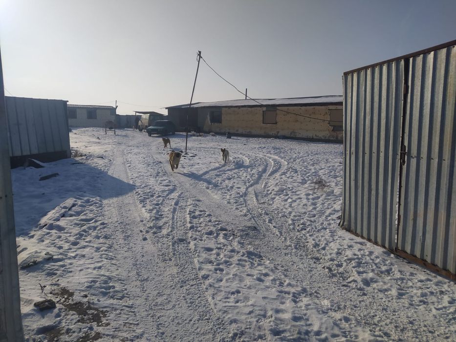 Продам участок 2 га