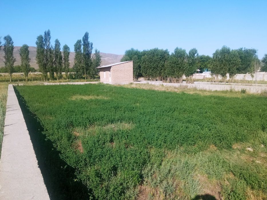 Yer uchastka sotiladi