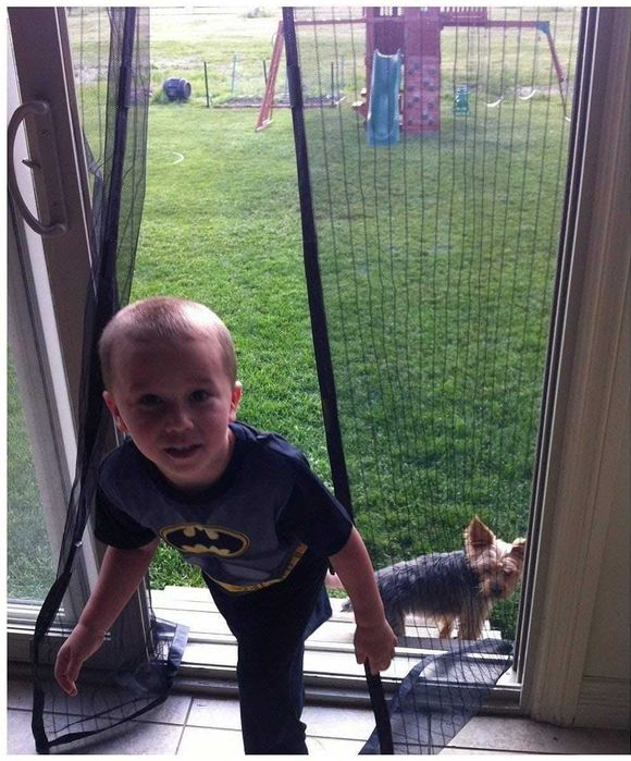 Perdea ALBA neagra plasa anti-insecte inchidere magnetica 120*210cm