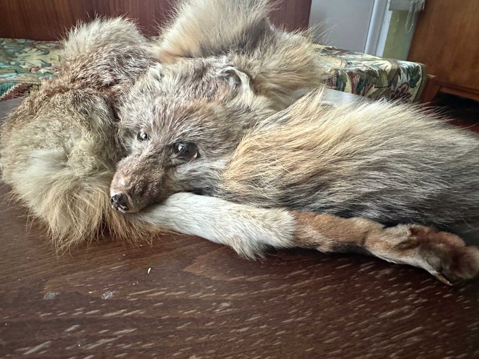 Яка лисица естествен косъм и дамска шапка естествен косъм лисица