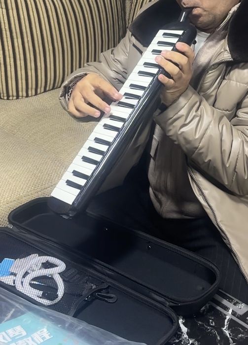 Melodika Duxavoy istrument