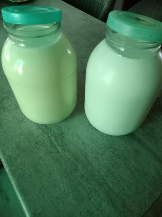 Продается козье молоко.