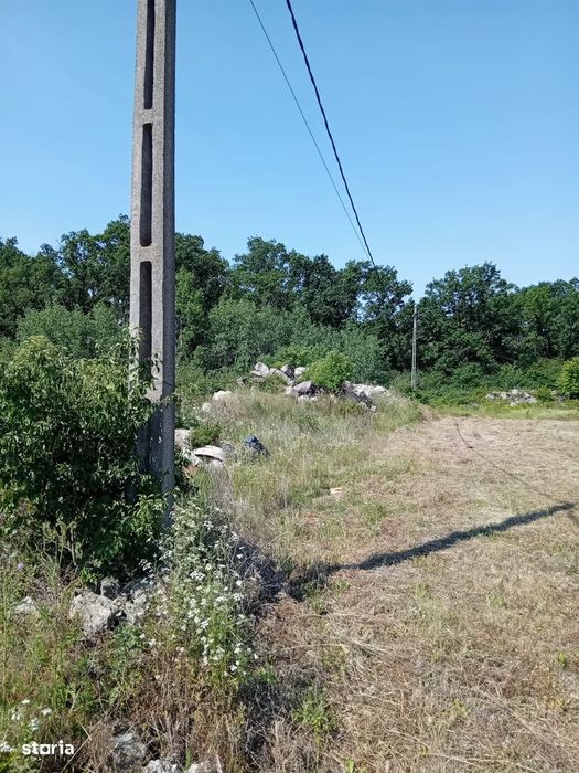 Teren Grigorescu / strada Apateului (de inchiriat / închiriat)