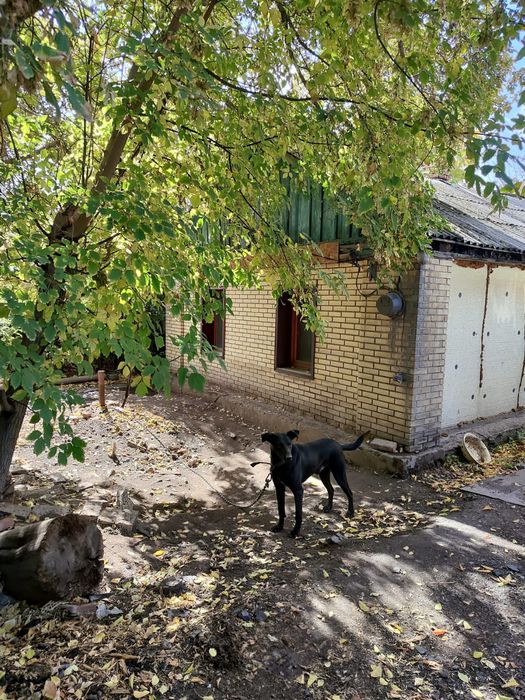 Частный дом на одного хозяина