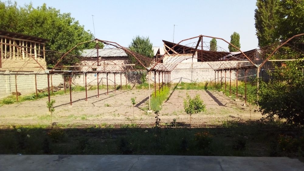 Parnik karkaz syomniy