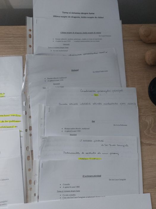 40 Eseuri BAC Română Subiectul III de nota 10