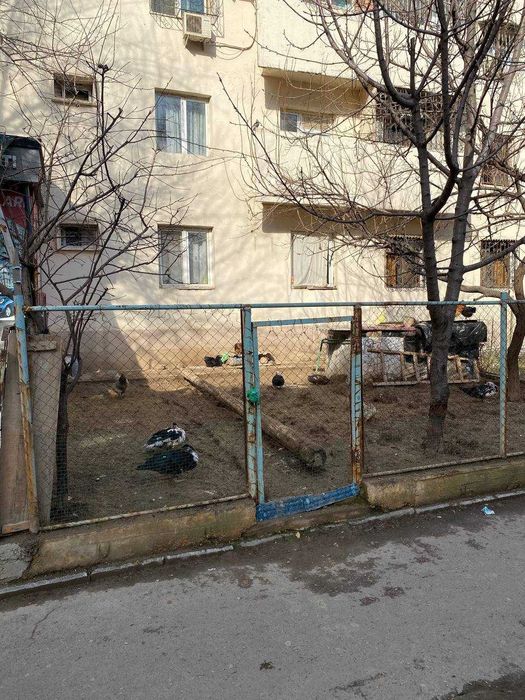 Продается своя квартира Ракат Корзинка 4 комнатная