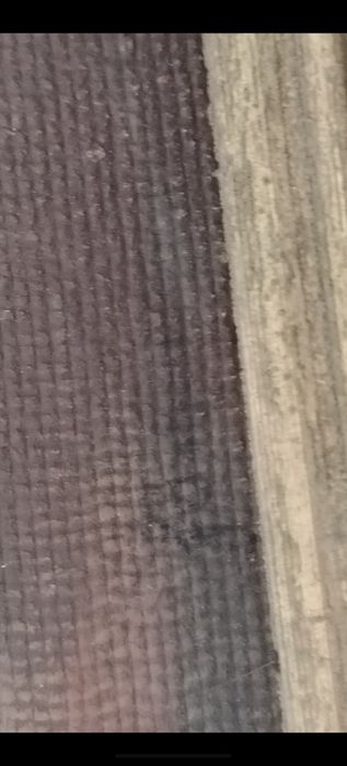 Tablou vechi de colecție – Natură statică cu flori de măr – Școală Austriacă / Atelier Vienez