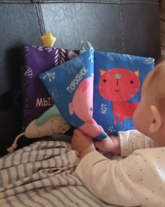 Мягкая книжка-игрушка шуршалка 0+