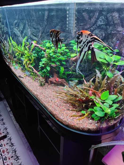 Продам Аквариум 350л.