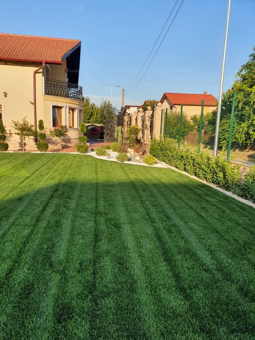 Gazon Rulou  / Amenajări Grădini