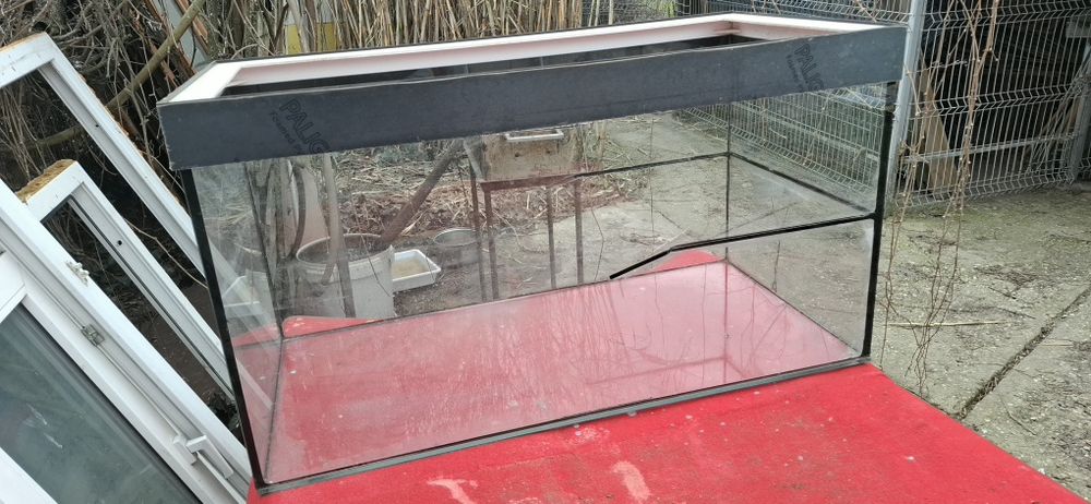 Acvariu 250L cu sticlă de 8mm