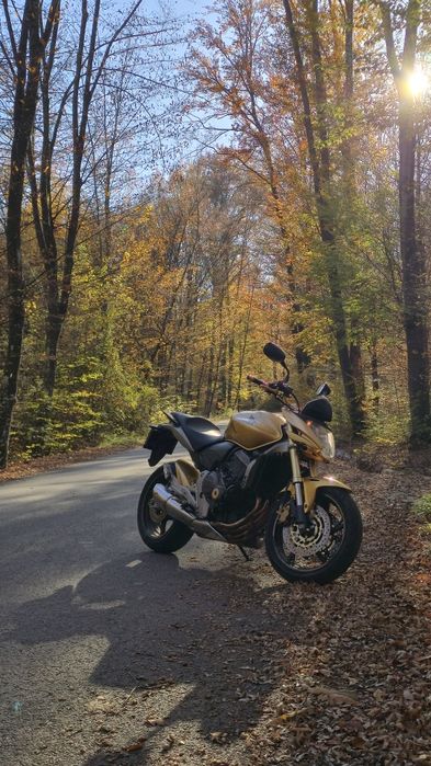 Honda Hornet PC41
