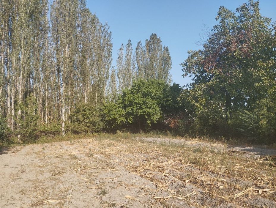 Yer suv gaz svet  kanalizatsiya hammasi bor