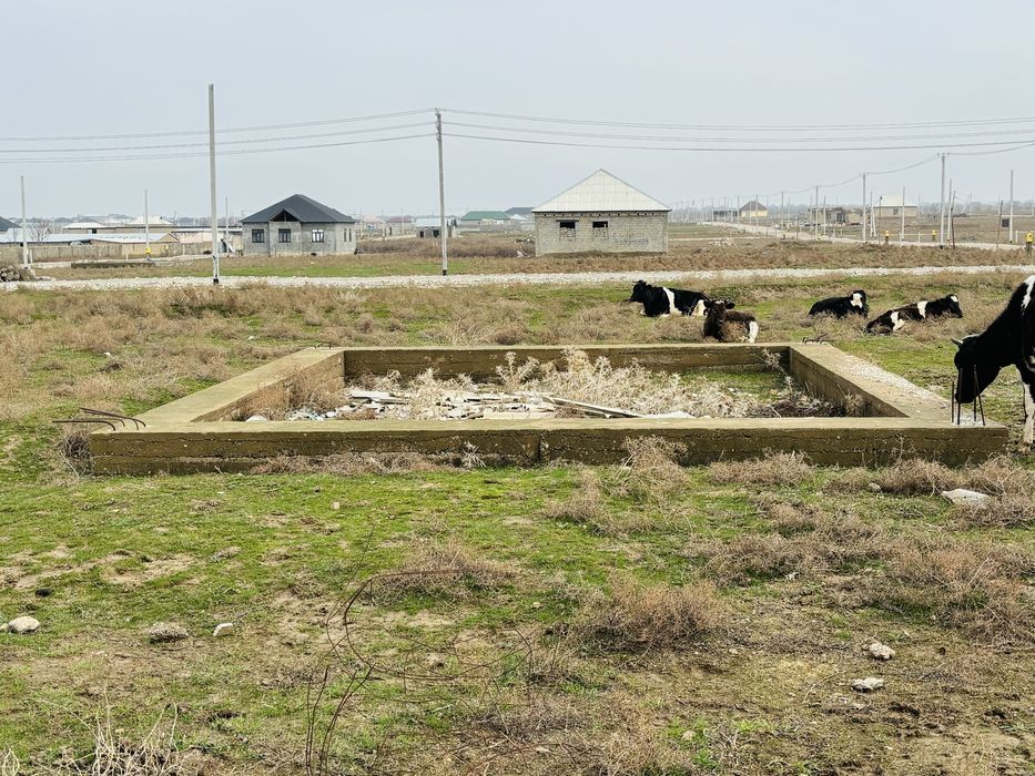 Земельный участок