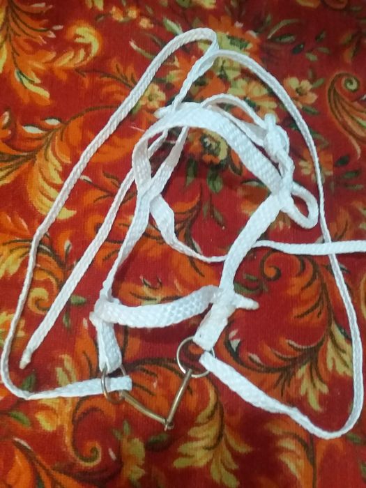 Продам Ноқта (недоуздок)