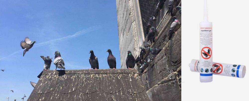 Кушларга карши гель.