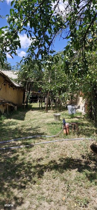 Casa si teren 3000 mp Naipu Giurgiu