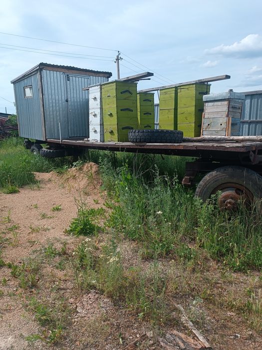 Продам пчеловодческий прицеп