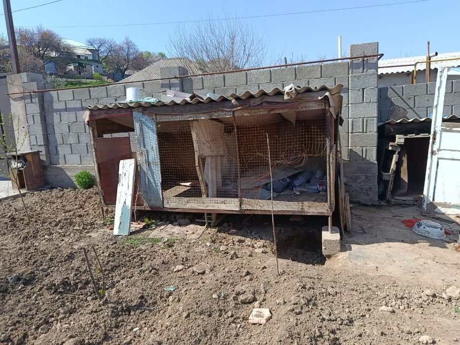 Клетка үлкен. Барьер.