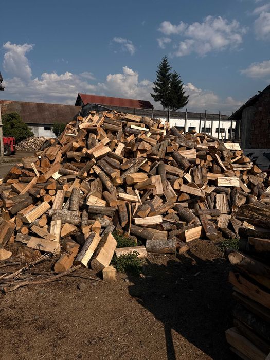 Lemne de foc - Fag - Livrare în Band și împrejurimi