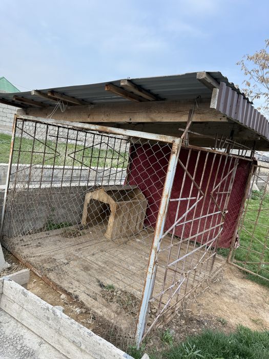 Вольер иттің ұясы 100000