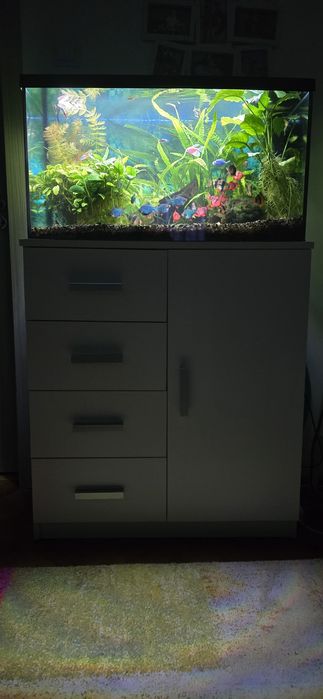 Acvariu complet cu stand si vietuitoare