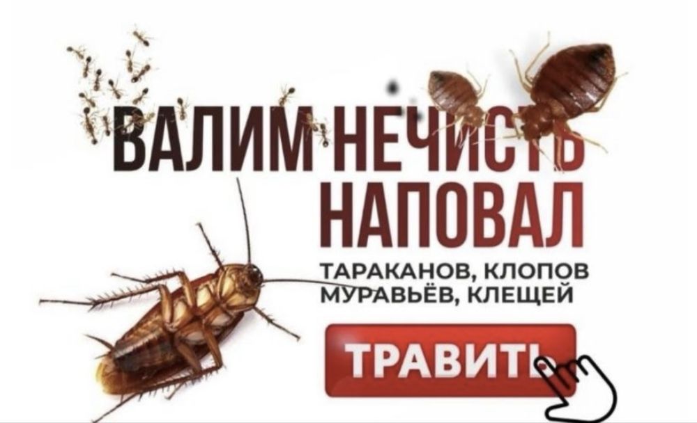 Дезинфекция дома клопы