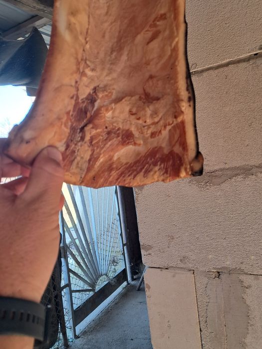 Vând clisă proaspătă