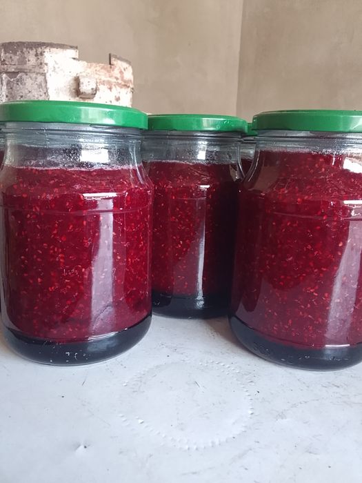 Малина көшеті сатылымда,сорт зюгана