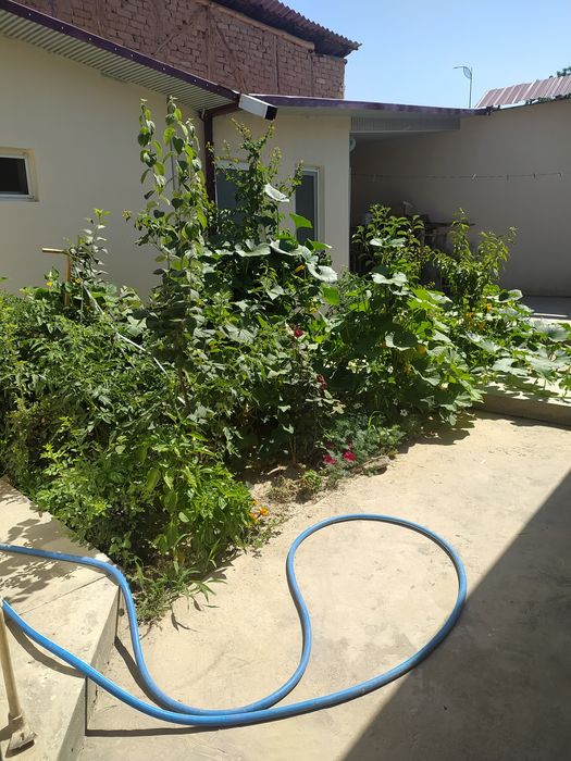 Продается Участка в г. Янгийул Бирдамлик куча