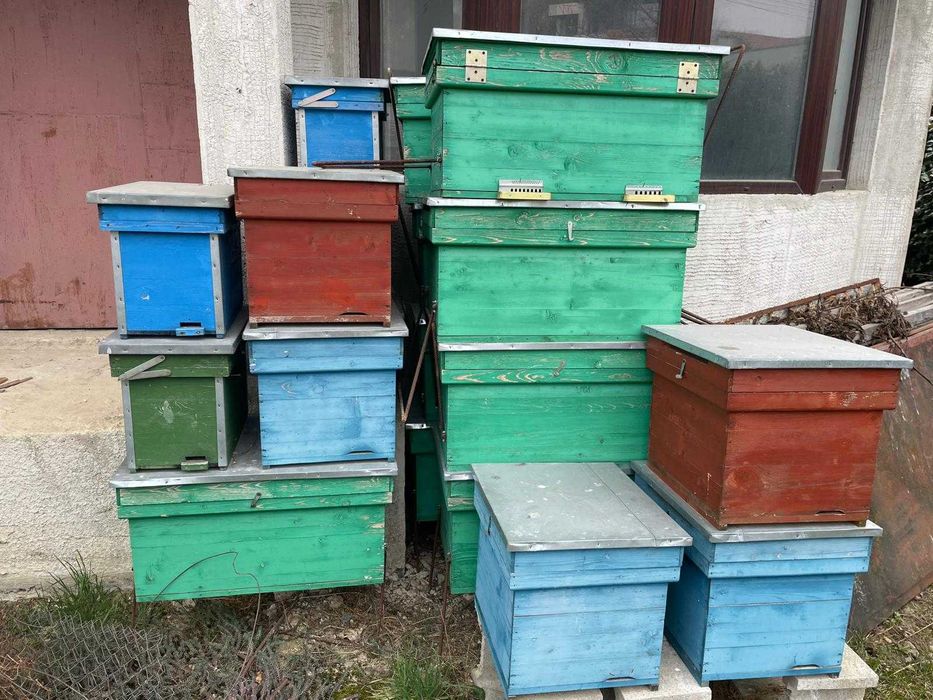 Vând cutii stupi de albine