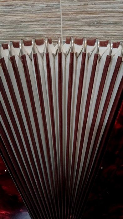 Акордеон Weltmeiyter 60баса