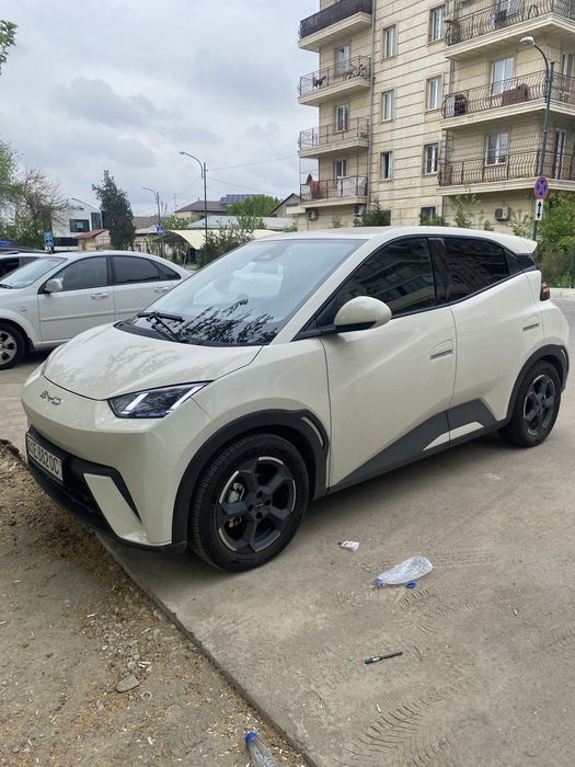 BYD seaugll 2023 ideal