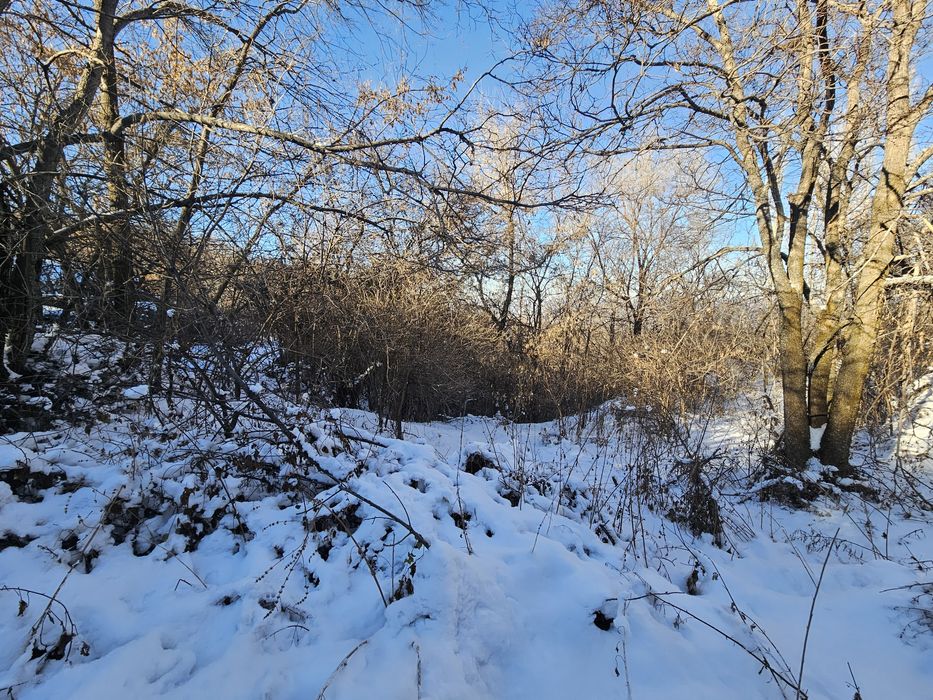 Земельный участок