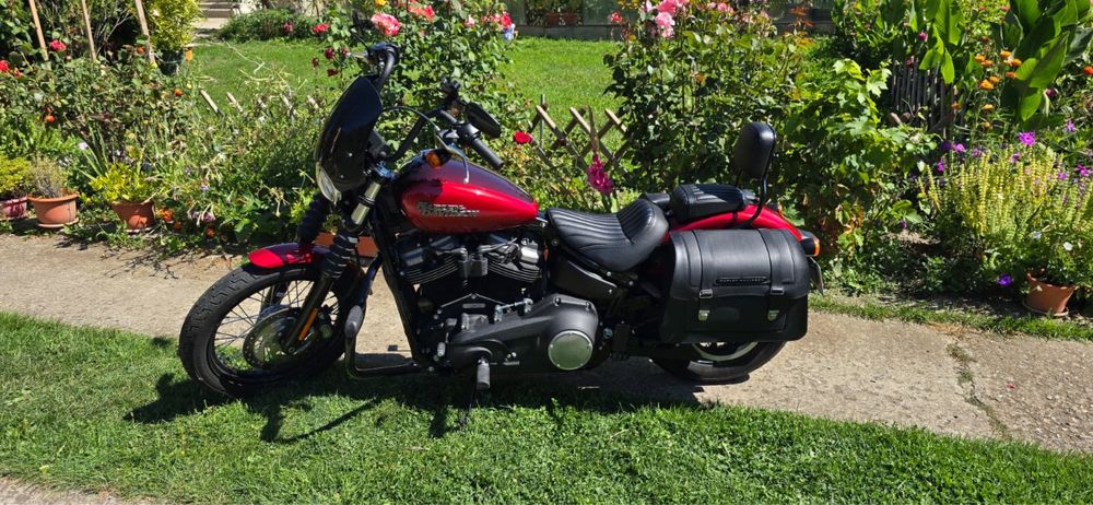 Harley Davidson Softail Street Bob / 2019 / 5900km / ca nou