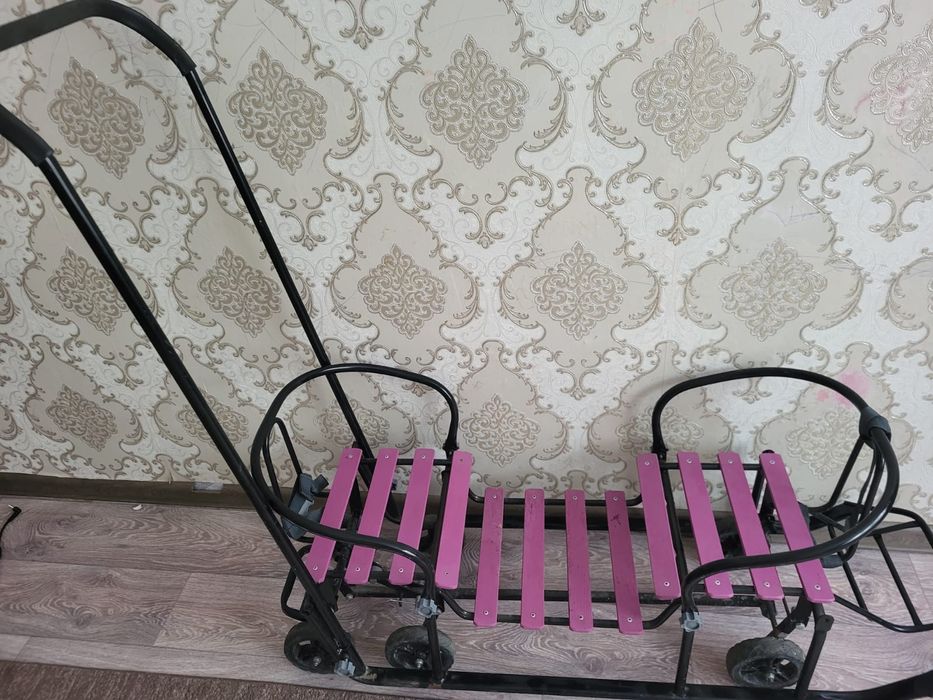 Зимние двухместные сани