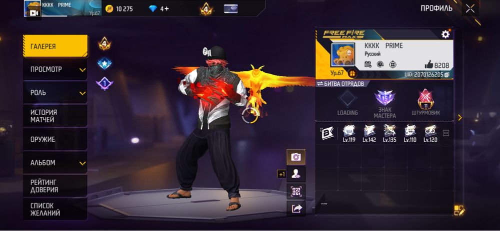 FF пардаим обин акунт акунт